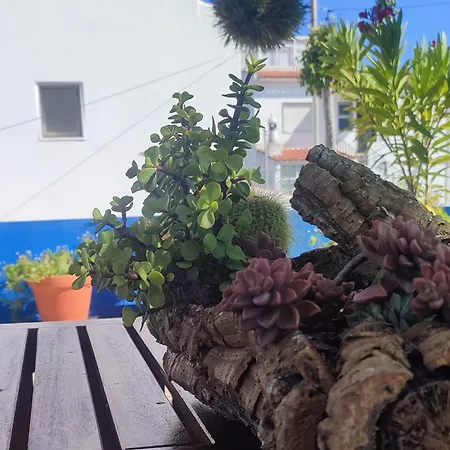 Casa Jasmine - Montes De